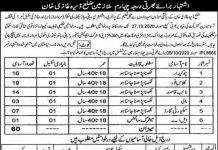 Jobs in Education Department Dera Ghazi Khan 13 October, 2020