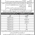 Jobs in Elementary & Secondary Education ESED for Teachers 29 October, 2020
