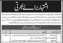 Jobs in Elementary & Secondary Education ESED for Teachers 29 October, 2020