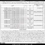 Jobs in Government Special Education Center Bhakkar 17 October, 2020