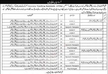 Jobs in Government Special Education Center Bhakkar 17 October, 2020