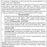 Jobs in HR Consultant in Balochistan Mineral Resource Limited 01 October, 2020