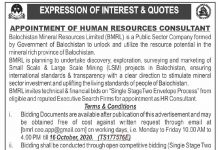 Jobs in HR Consultant in Balochistan Mineral Resource Limited 01 October, 2020