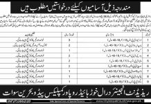 Jobs in Pakhtunkhwa Energy Development Organization PEDO 09 October, 2020