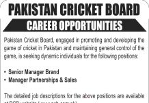 Jobs in Pakistan Cricket Board PCB for Manager Brand 30 October, 2020