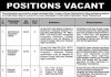 Jobs in Personal Assistant & Junior Clerk in Peshawar 03 October, 2020