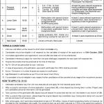 Jobs in Personal Assistant & Junior Clerk in Peshawar 04 October, 2020