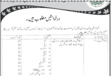 Jobs in Physical Planning & Housing Department AJK 15 October, 2020