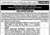 Jobs in Primary & Secondary Healthcare Department Punjab 30 October, 2020