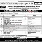 Jobs in UVAS University Lahore for Visiting Professors 22 October, 2020