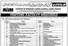 Jobs in UVAS University Lahore for Visiting Professors 22 October, 2020