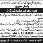 Jobs in WAPDA Employees Cooperative Housing Society Lahore 30 October, 2020