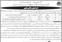Jobs in Women Development Department for Head Clerk 06 October, 2020
