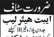 Jobs in Abbottabad Hair Lab for Hair Cutter 05 November, 2020