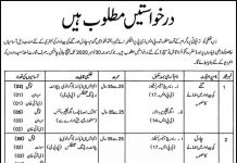 Jobs in Agriculture Department Peshawar Field Assistant 17 November, 2020