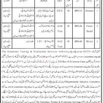 Jobs in Dir Kohistan Forest Division Sheringal Forester 11 November, 2020