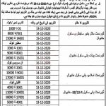 Jobs in District Education Authority DHA Khanewal 17 November, 2020