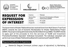 Jobs in Economic Revitalization of Khyber Pakhtunkhwa ERKP 17 November, 2020