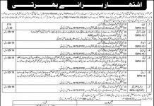 Jobs in Education Department DEO Chitral for Teachers 06 November, 2020