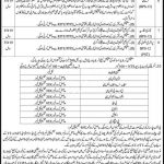 Jobs in Elementary & Secondary Education ESED Bannu 10 November, 2020