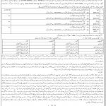 Jobs in Elementary & Secondary Education ESED Kolai Palas 06 November, 2020