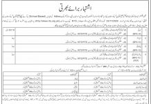 Jobs in Elementary & Secondary Education ESED Kolai Palas 06 November, 2020