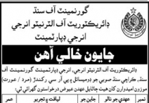 Jobs in Energy Department Sindh for Dispatch Rider & Clerk 12 November, 2020