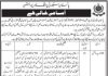 Jobs in General Manager Production Job in Karachi 09 November, 2020