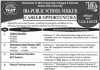 Jobs in IBA Public School Sukkur for Teaching Staff 09 November, 2020