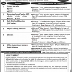 Jobs in IBA Public School Sukkur for Teaching Staff 09 November, 2020