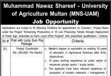 Jobs in Muhammad Nawaz Sharif University of Agriculture MNSUAM 10 November, 2020