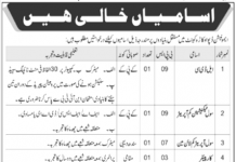 Jobs in Pak Army Ammunition Depot Okara Cantt for LDC 02 November, 2020