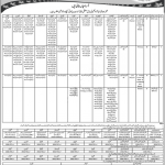 Jobs in Population Welfare Department AJK for Drivers 12 November, 2020