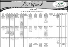 Jobs in Population Welfare Department AJK for Drivers 12 November, 2020