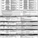 Jobs in Punjab Public Service Commission PPSC Inspector 04 November, 2020