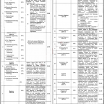 Jobs in Punjab Tianjin University of Technology Management 16 November, 2020