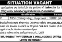 Jobs in UVAS University Lahore for Instructor 10 November, 2020