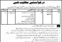 Jobs in Wildlife Watcher in Wildlife Division Karak 17 November, 2020