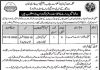 Jobs in Population Welfare Department DG Khan for Assistant 02 December, 2020