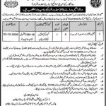 Jobs in Population Welfare Department DG Khan for Assistant 02 December, 2020