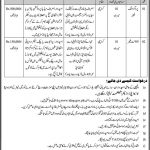 Jobs in Account Manager Trade Development Authority of Pakistan 12 Jan 2021