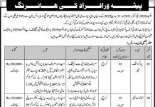 Jobs in Account Manager Trade Development Authority of Pakistan 12 Jan 2021