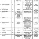 Chief Research Officer (BS-20) Jobs in National Institute of Electronics 17 Jan 2021