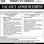 Digital Content Writer Jobs in Ministry of Commerce 21 Jan 2021