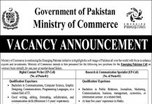 Digital Content Writer Jobs in Ministry of Commerce 21 Jan 2021