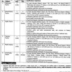 Mathematics Teacher Jobs in Punjab Daanish Schools and Centres of Excellence Authority 17 Jan 2021