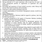 Member (Ecnomics Statistics) Jobs in Pakistan Bureau of Statistics 26 Jan 2021