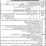 Stenographer Jobs in Wildlife Department Khyber Pakhtunkhwa 26 Jan 2021