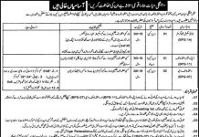 Stenographer Jobs in Wildlife Department Khyber Pakhtunkhwa 26 Jan 2021