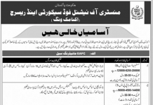 System Analyst (BPS-08) Jobs in Ministry of National Food Security and Research 17 Jan 2021